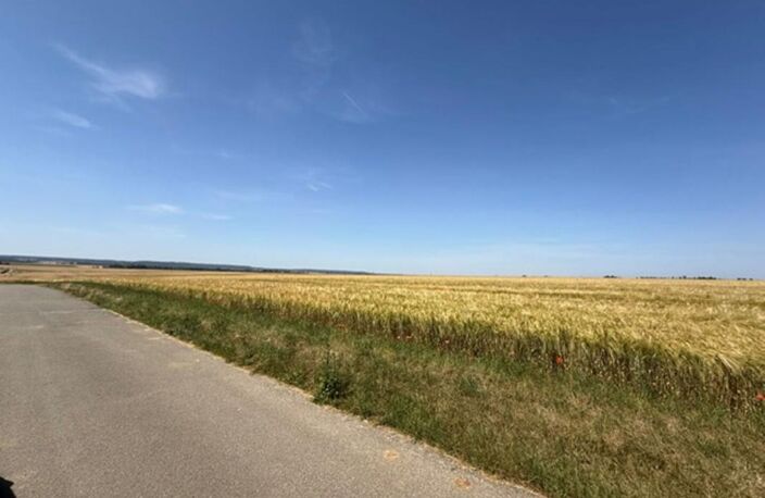 TERRAIN VIABILISE DE 246 M² — photo 3