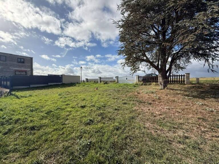 TERRAIN VIABILISE DE 246 M² — photo 1