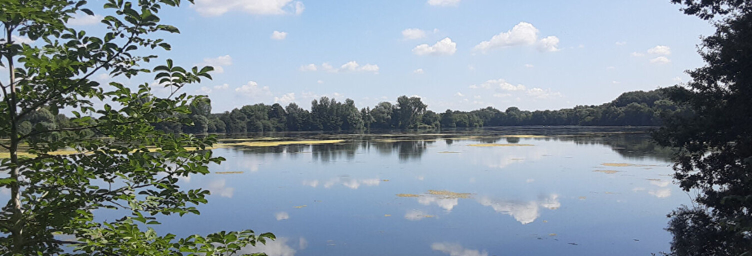 Appartement 4 Pièces 90 m² à vendre à Villeneuve-d'Ascq (59650)