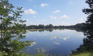 Appartement 4 Pièces 90 m² à vendre à Villeneuve-d'Ascq (59650)