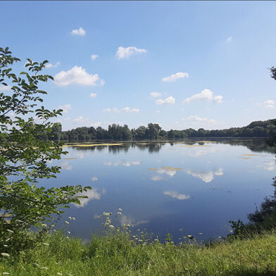 Appartement 4 pièces 229900 €