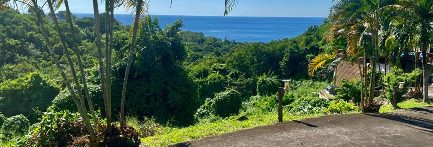 Terrain  7709 m² à vendre à Bouillante (97125)