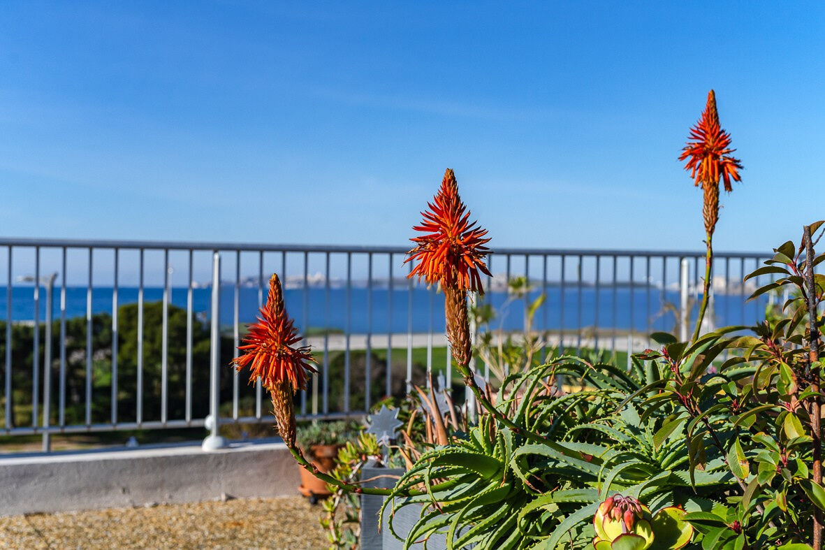 Appartement  T3 à vendre Marseille 8eme 13008