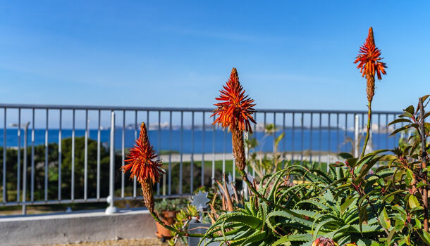 Appartement 3 pièces  à vendre Marseille 8eme 13008