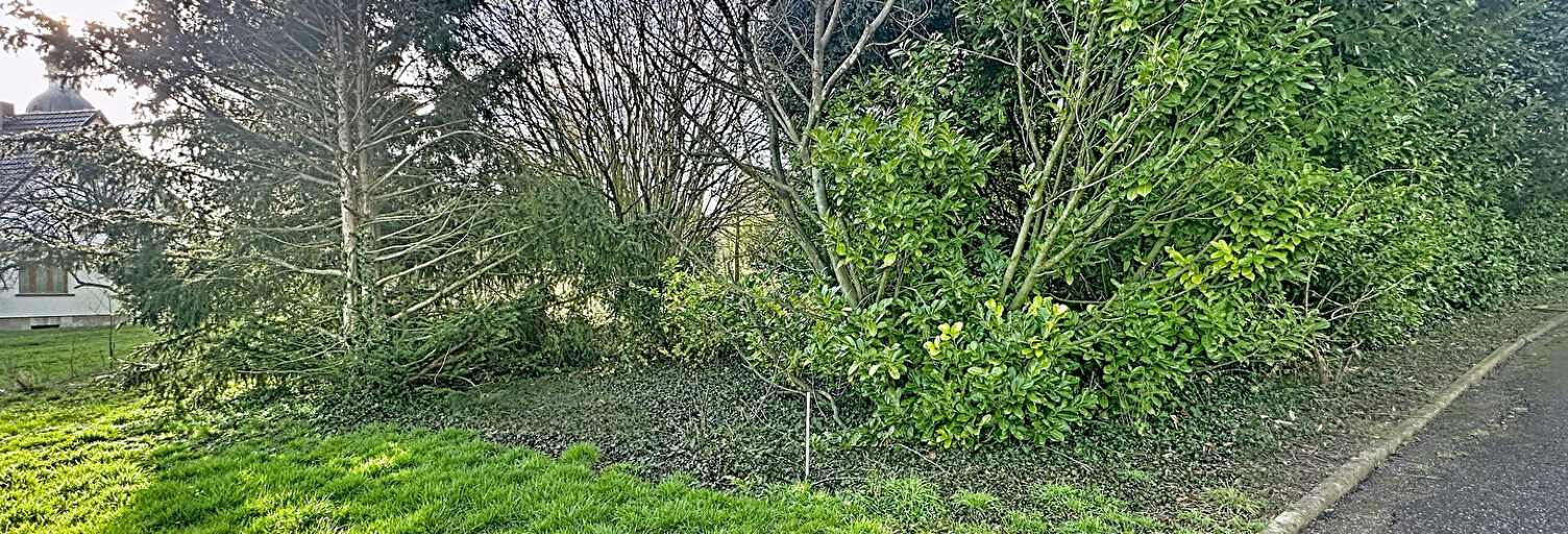 Terrain  473 m² à vendre à Schnersheim (67370)