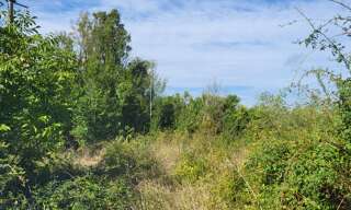 Terrain  772 m² à vendre à Angles-sur-l'Anglin (86260)