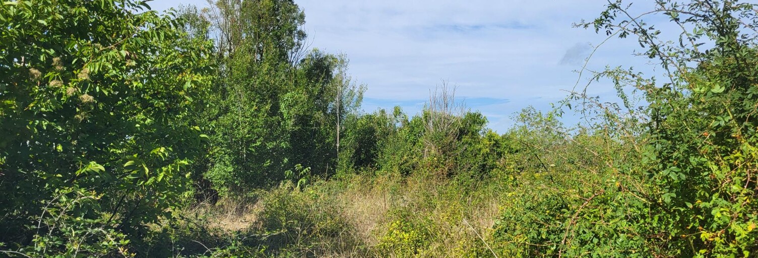 Terrain  772 m² à vendre à Angles-sur-l'Anglin (86260)