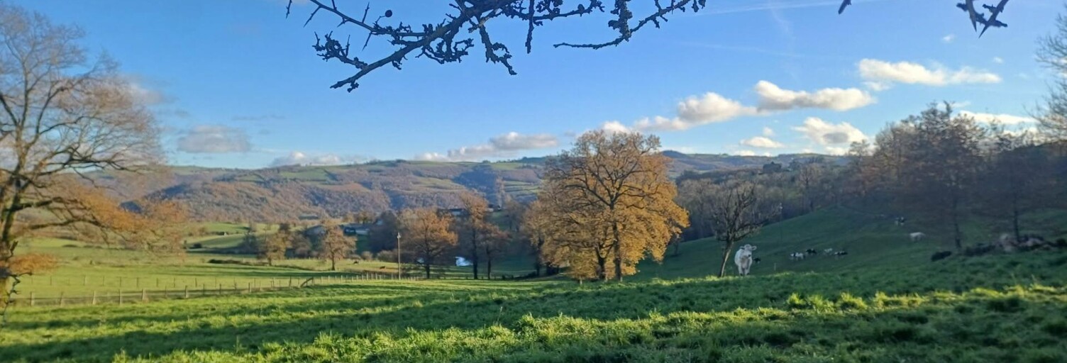 Maison 5 Pièces 110 m² à vendre à Compolibat (12350)