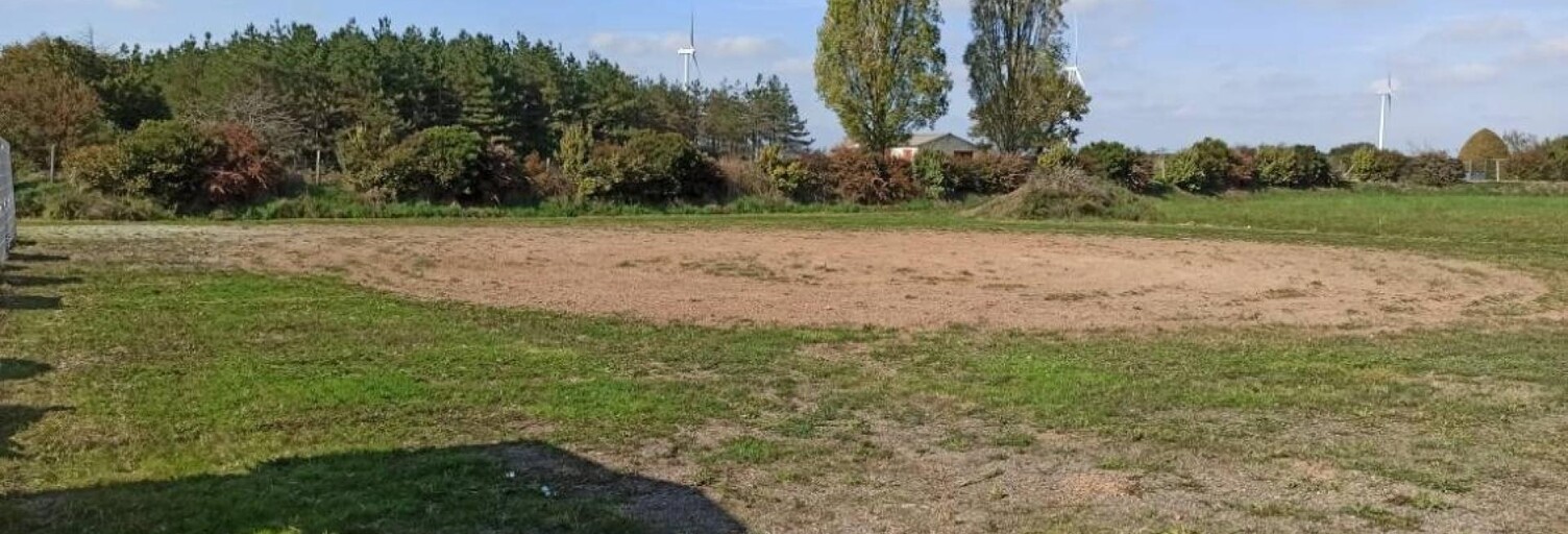 Local industriel  1542 m² à vendre à Angrie (49440)