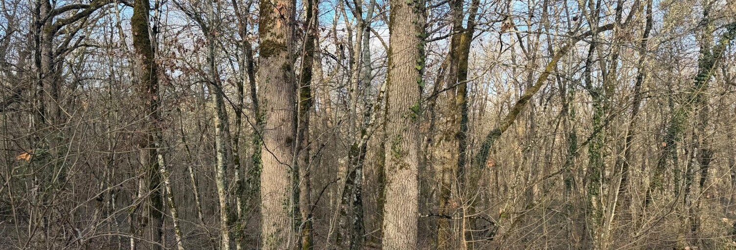 Terrain  5633 m² à vendre à Pujols (47300)