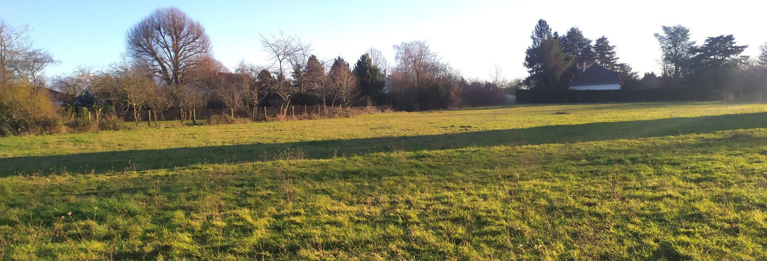 Terrain  9853 m² à vendre à La Châtre (36400)