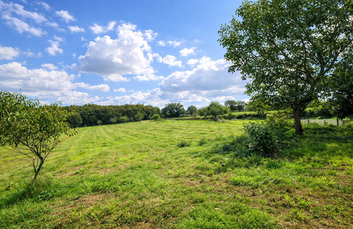 Maison de campagne avec dépendance sur 14ha ! — photo 4