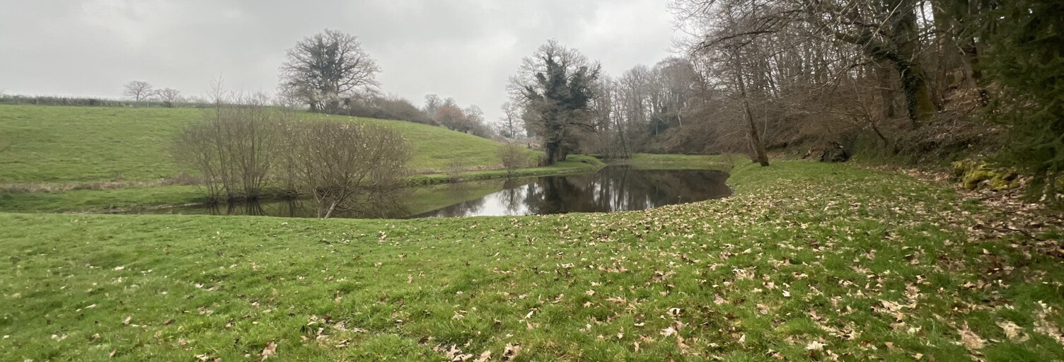 Terrain  5735 m² à vendre à Saint-Priest-la-Marche (18370)