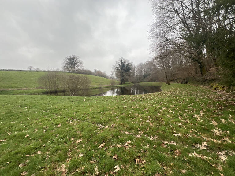 Etang de 4000 m2 sur une parcelle de 5 733 m2 ! — photo 1