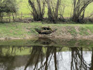 Etang de 4000 m2 sur une parcelle de 5 733 m2 ! — photo 4
