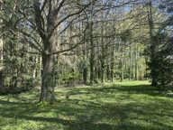 Maison de campagne sur 2 ha ! — photo 4