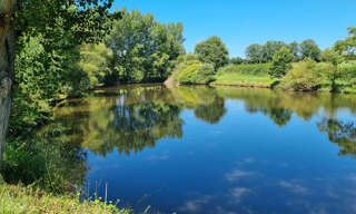 Terrain  14264 m² à vendre à Chassignolles (36400)