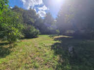 Maison à rénover avec jardin ! — photo 2