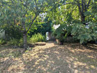 Belle maison de ville avec jardin et dépendances ! — photo 3