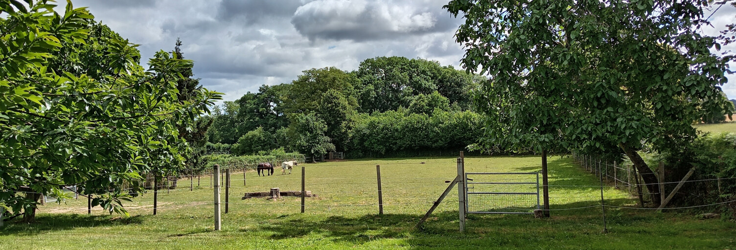 Photo N° 2
