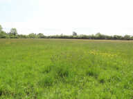 Terrain constructible proche centre ! — photo 4