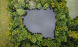 Terrain  4215 m² à vendre à Fougerolles (36230)