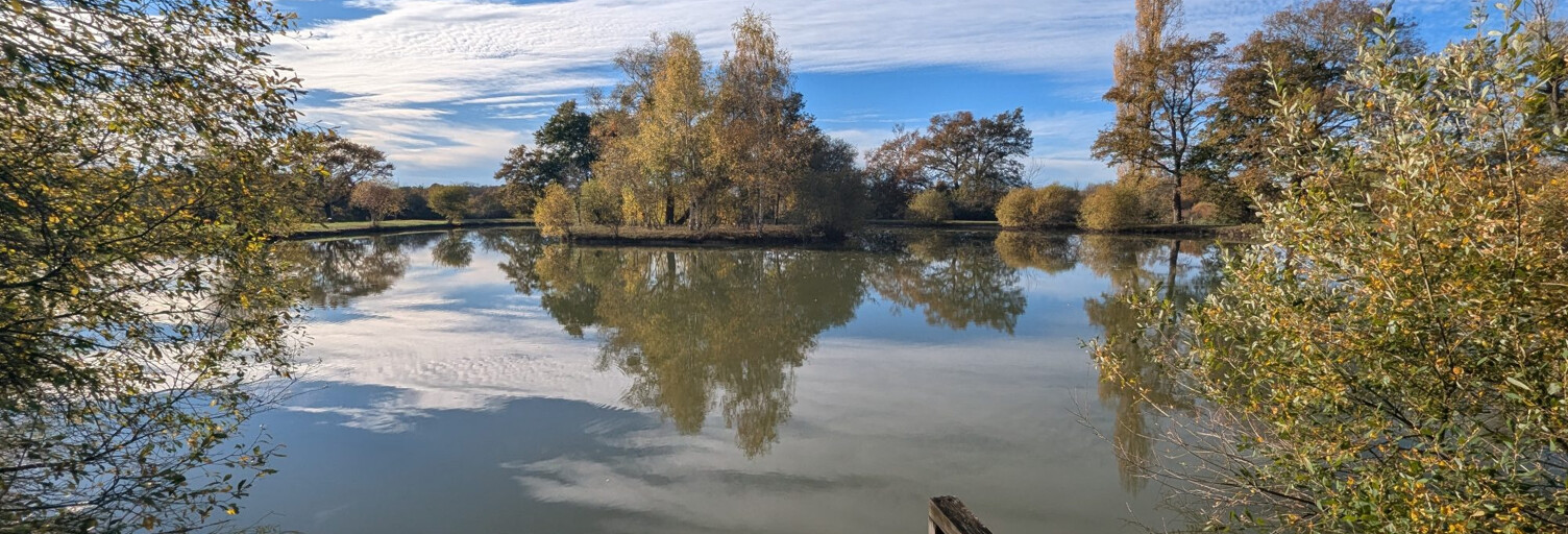 Terrain  20387 m² à vendre à Le Châtelet (18170)