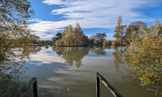 Terrain  20387 m² à vendre à Le Châtelet (18170)