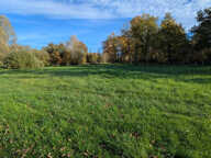 Petit coin de paradis ! — photo 4