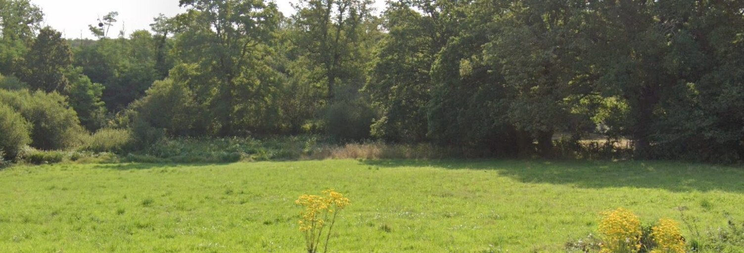 Terrain  5343 m² à vendre à Urciers (36160)