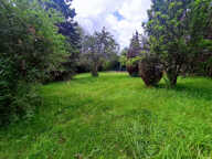 Maison de campagne — photo 3