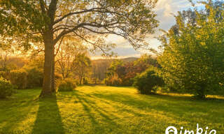 Maison 7 Pièces 274 m² à vendre à Laffite-Toupière (31360)