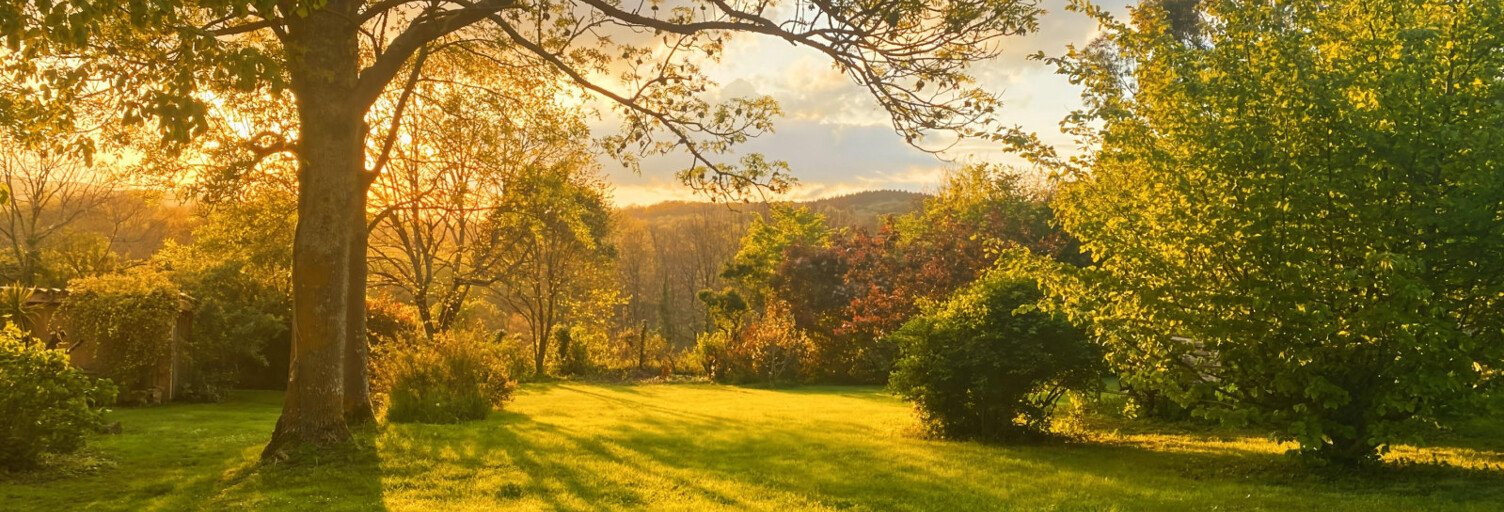 Maison 7 Pièces 274 m² à vendre à Laffite-Toupière (31360)