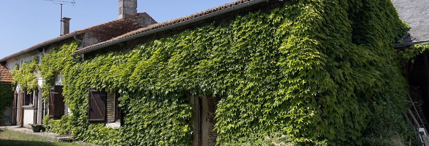 Maison 4 Pièces 120 m² à vendre à Saint-Jean-de-Sauves (86330)