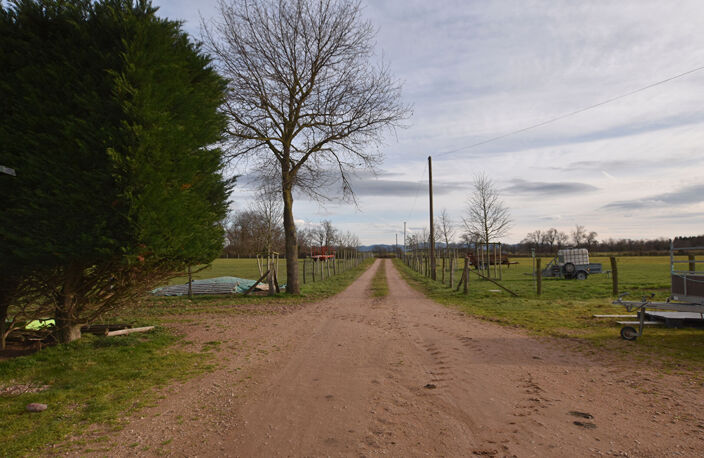LONGERE SUR 6.7 HA — photo 5