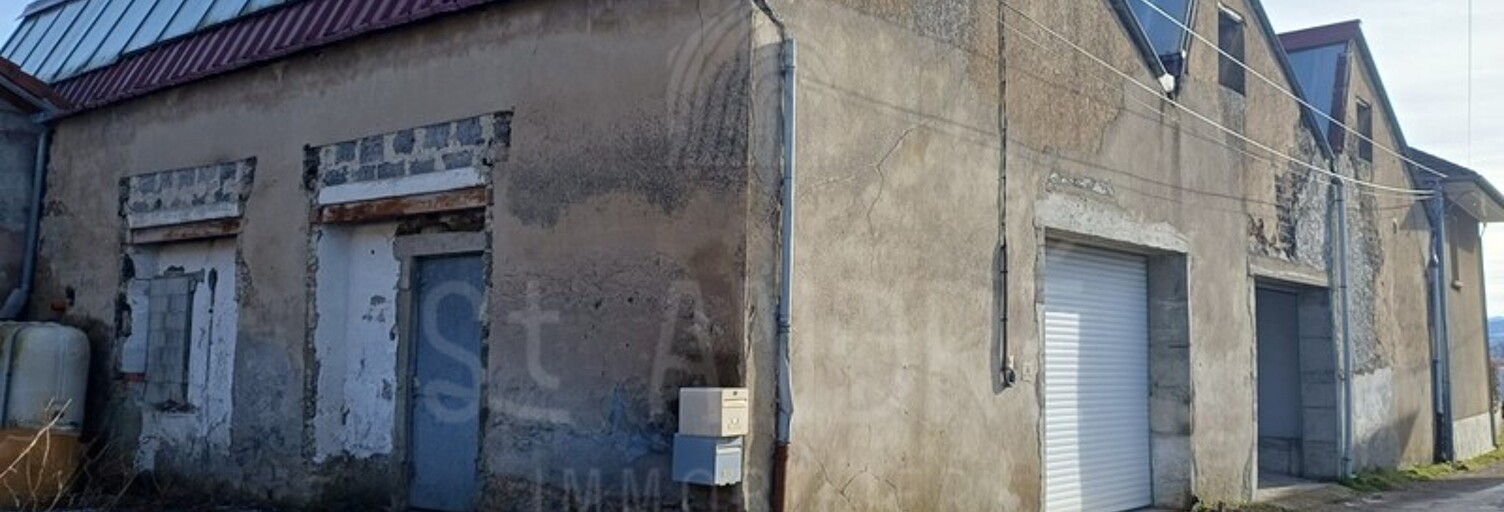 Commerce 1 Pièce 360 m² à vendre à Le Grand-Lemps (38690)