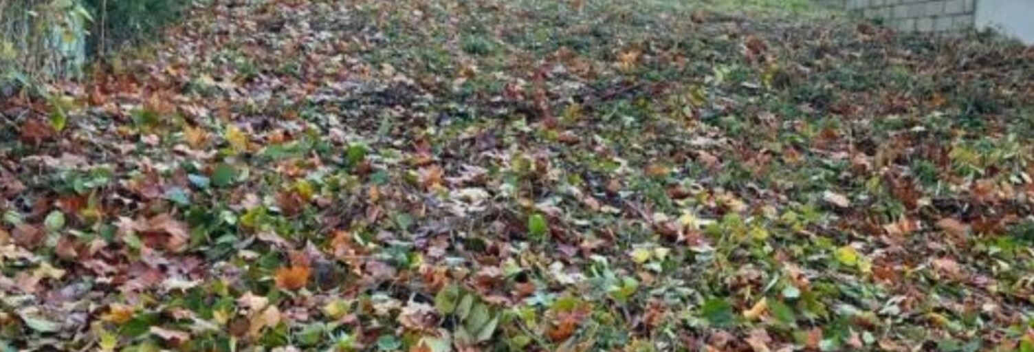 Terrain  328 m² à vendre à Champagne-sur-Oise (95660)