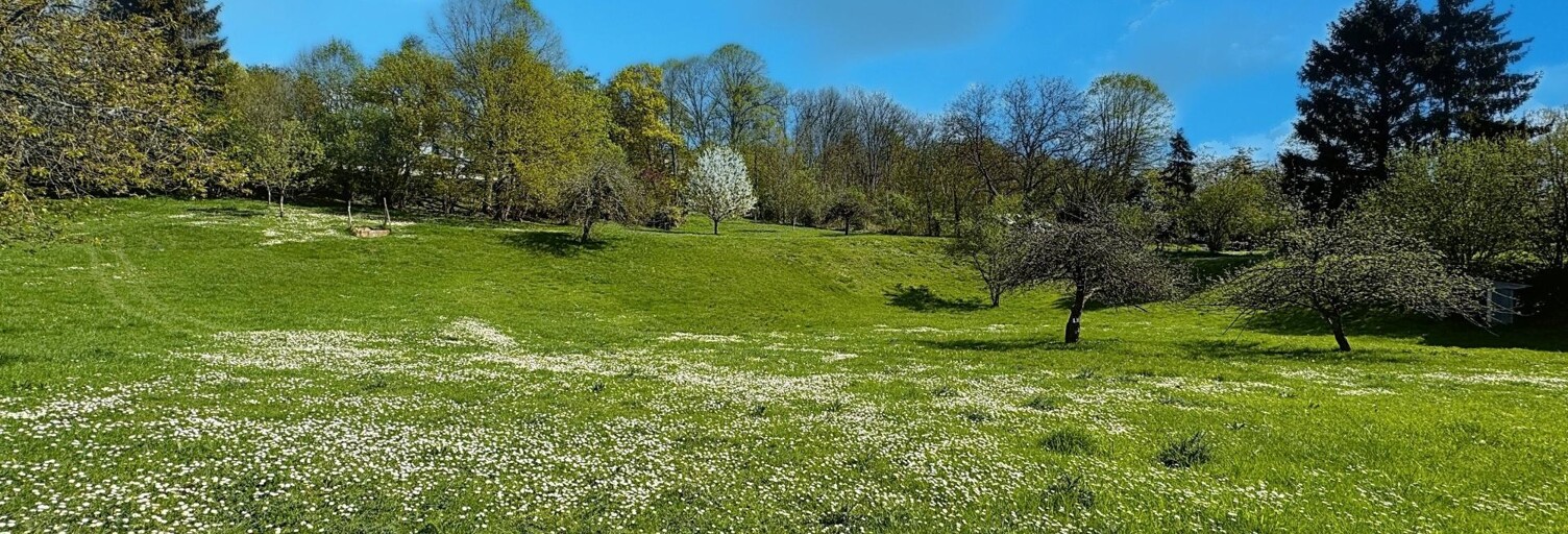 Terrain  4400 m² à vendre à Lizy-sur-Ourcq (77440)