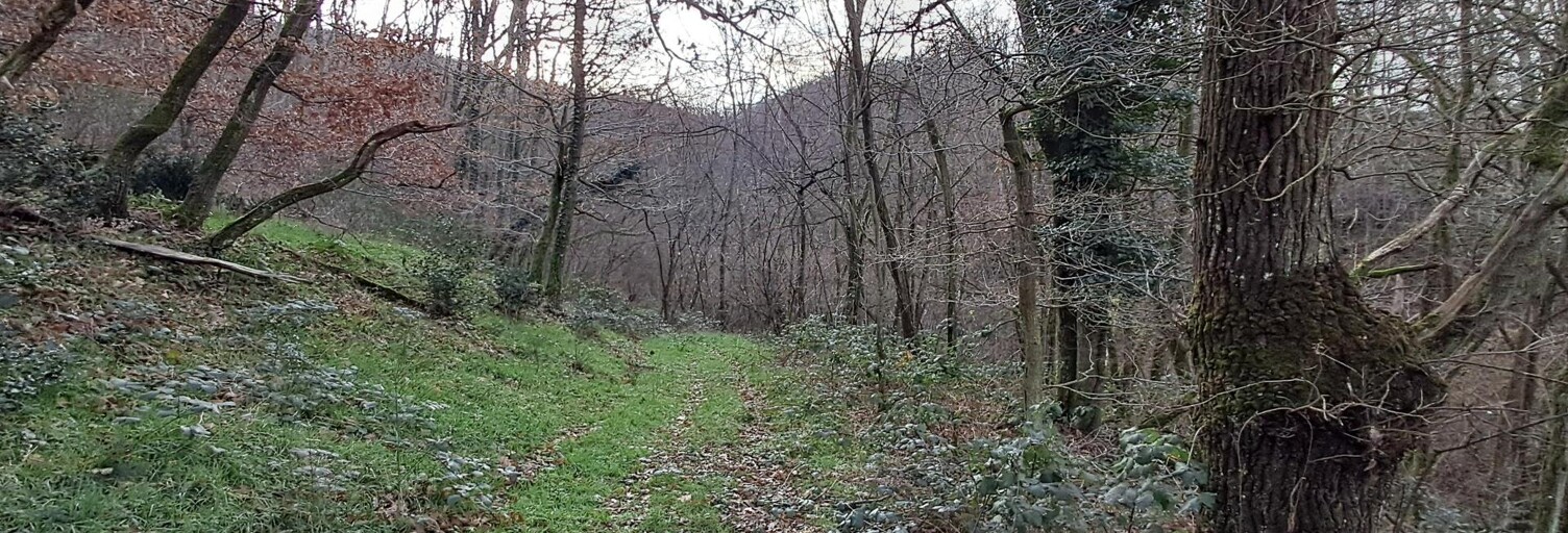 Terrain  2330 m² à vendre à Chasselay (69380)