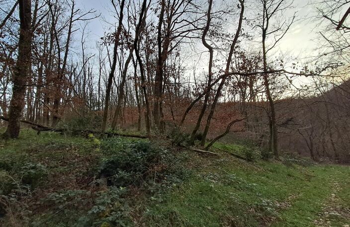 Terrain de loisirs - Chasselay — photo 2