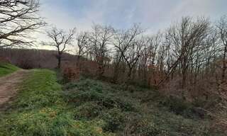 Terrain  7030 m² à vendre à Chasselay (69380)