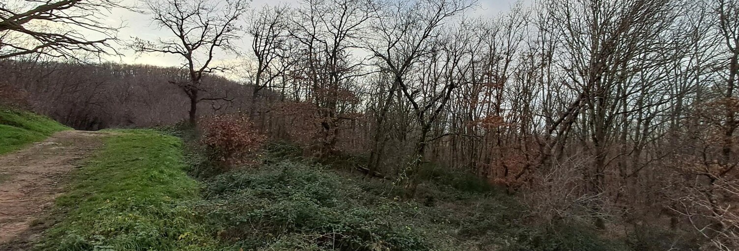 Terrain  7030 m² à vendre à Chasselay (69380)