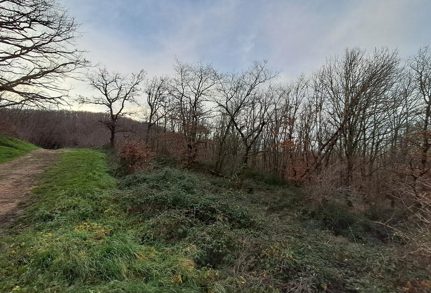 Terrain de loisirs - Chasselay — photo 1