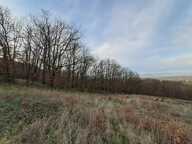 Terrain de loisirs - Chasselay — photo 2