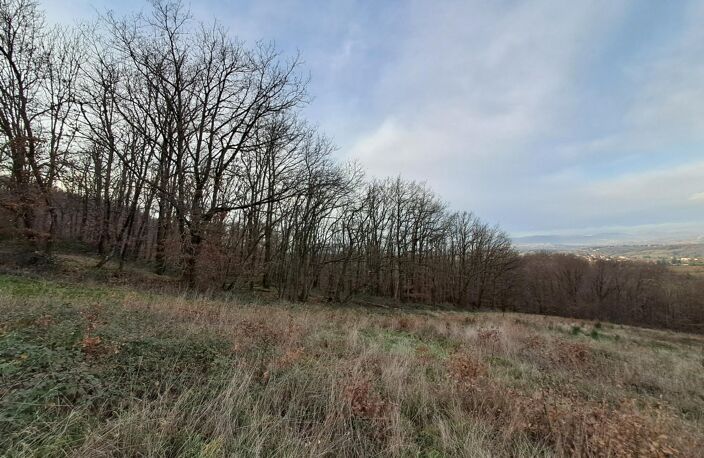 Terrain de loisirs - Chasselay — photo 2