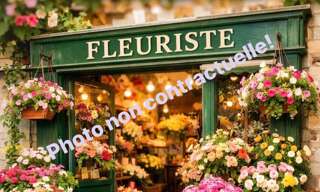 Commerce 4 Pièces 175 m² à vendre à Montauban (82000)