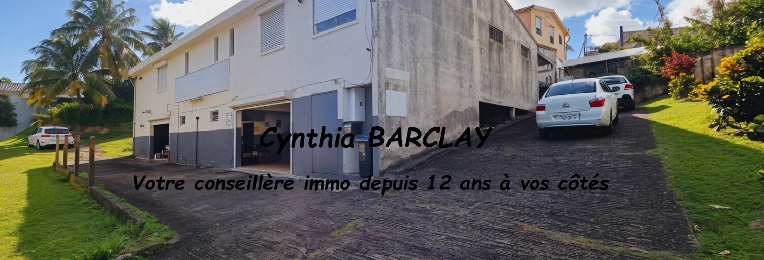 Immeuble  352 m² à vendre à Sainte-Marie (97230)