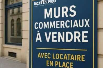 Commerce  255000 €