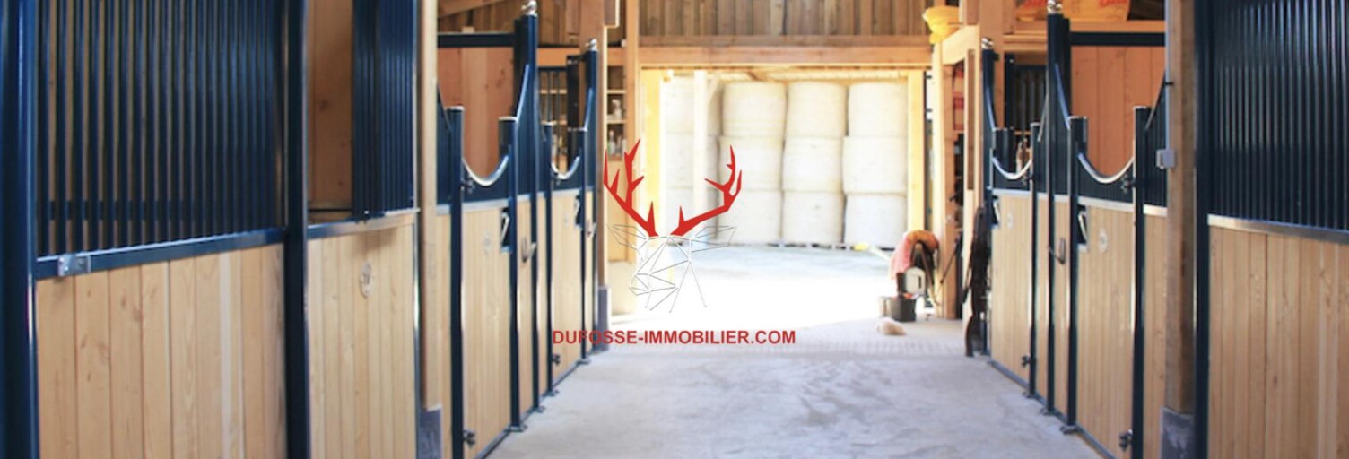 Maison 5 Pièces 162 m² à vendre à Celles-sur-Durolle (63250)