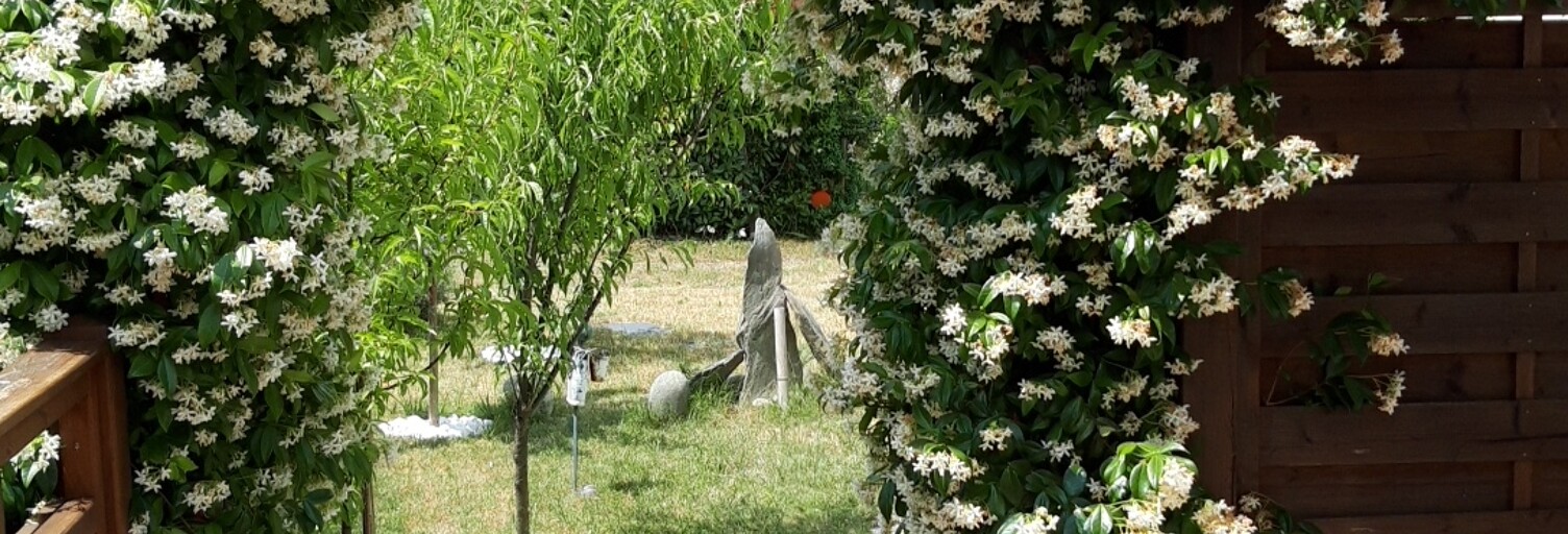 Photo N° 2